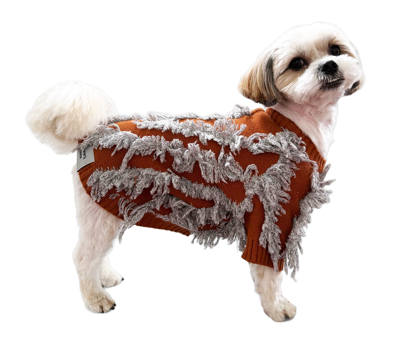 犬服ブラウン着用